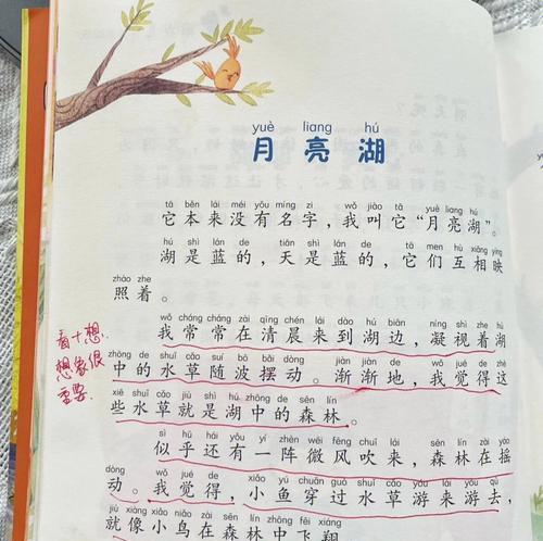 暖阳作文800字（秋日里的温暖优秀）