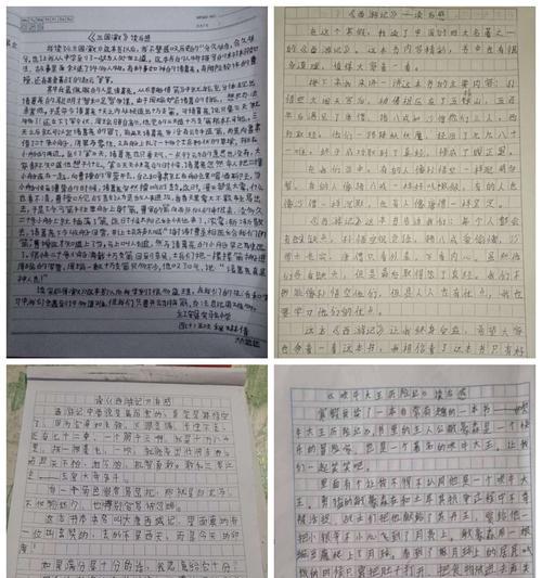 读书博览会活动的作文（一篇以读书活动为主题的征文优秀）