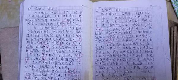 围绕亲情为主题的作文600字（亲情的素材优秀）