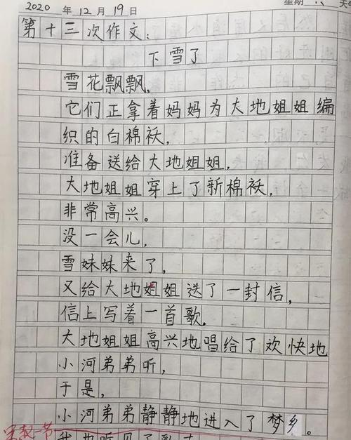 下雪了作文900字（下雪了满分）