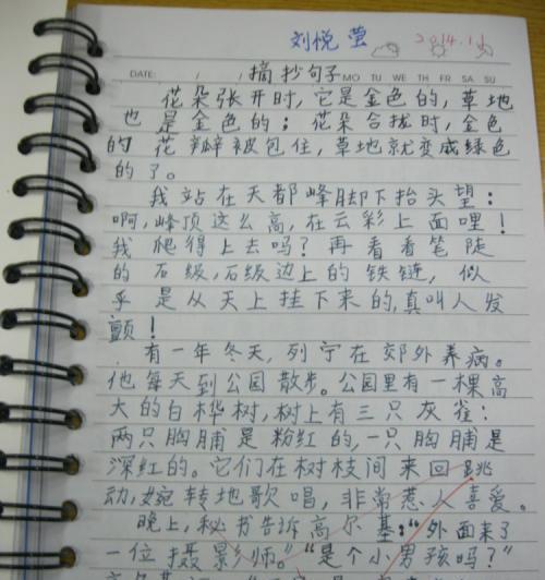 下雪了作文900字（下雪了满分）