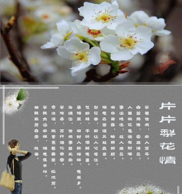 桃花梨花的唯美句子（关于梨花的优美文案诗句）