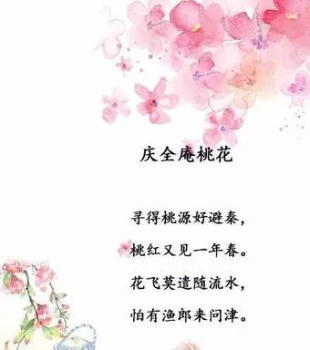 关于桃花的浪漫短句（桃花的诗句经典名句短文）