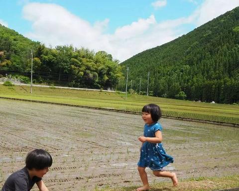 赞美田园风光的句子（形容乡村生活恬静美好的祝福语）