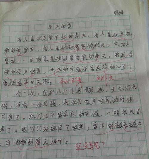 我和有个约定作文800字（我和她有个约定满分）