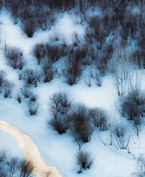 塞北小城作文（我爱塞北的雪优秀）