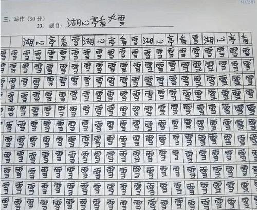 第一次看见雪900字作文（《第一次___》的精选）