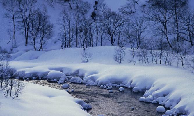 冬天的写景作文600字（雪景满分）