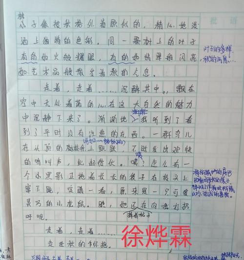 扫雪作文800字三年级（满分）