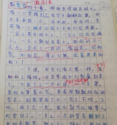 美丽的雪作文800字（美丽的小雪优秀）