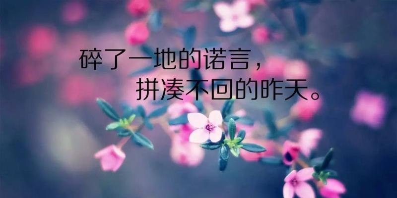 朋友圈早安说说简短经典（点亮清晨时光）