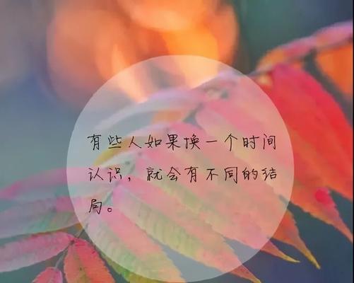 美丽语段摘抄（美丽的句子经典赏析）