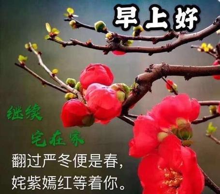 美好祝愿的句子经典语句（以经典句子为媒介，传递祝福的力量）