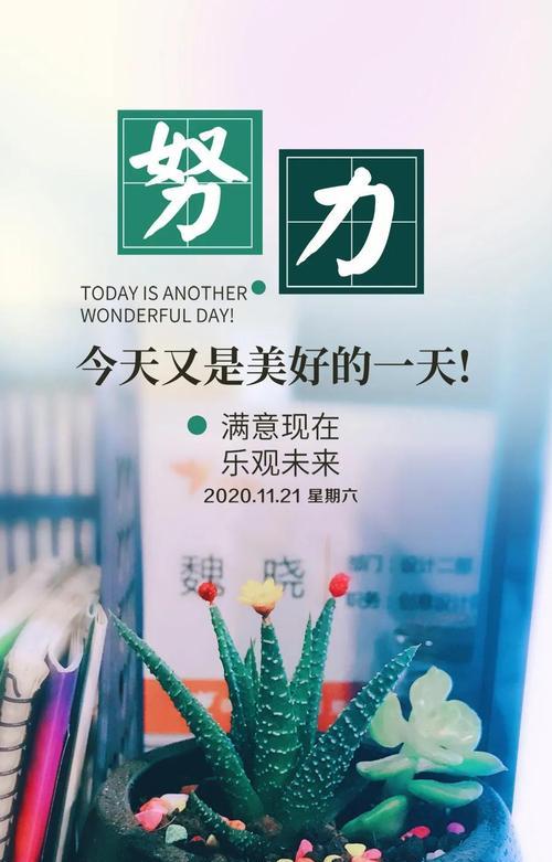 群里早安心语正能量句子（晨曦芳菲，正能量满溢——每日早安心语）