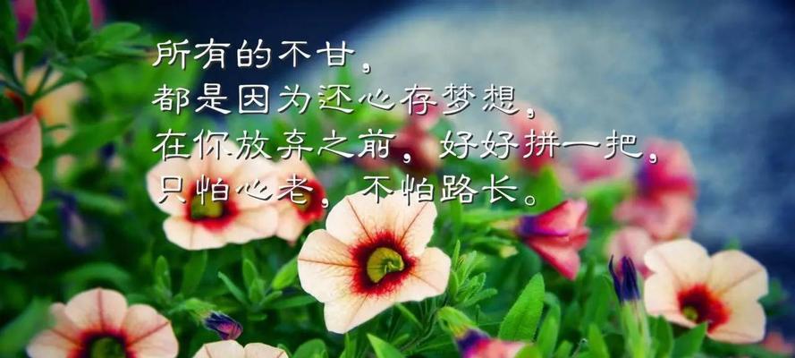 伤感心情说说句子短句（励志伤感短句集锦）