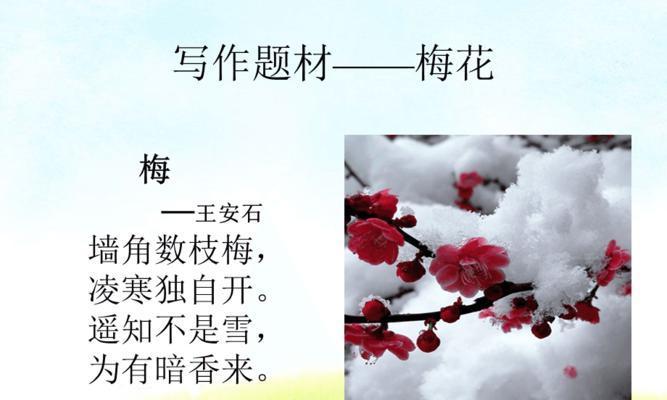 关于梅花借物喻人的作文600字作文（《梅花红似火，人如梅花坚韧不屈》）