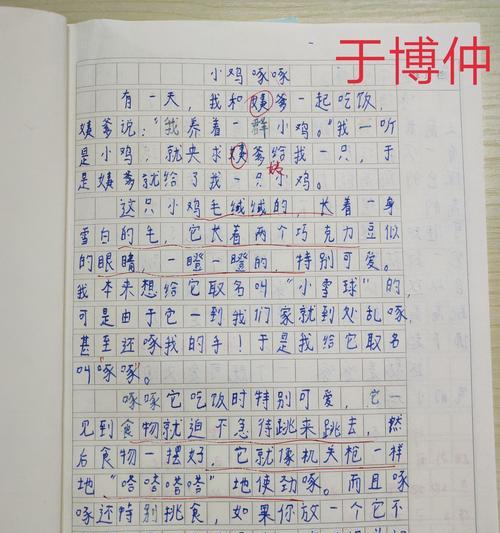 我与小动物的趣事作文100字（《我与小动物的故事》）