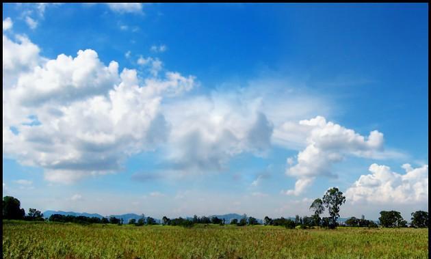 风和日丽写景的作文（《以风和日丽，春光明媚为背景，描写一个关于爱情和友情的小故事》）