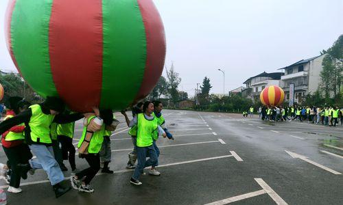 以追寻梦想为话题的作文600字左右初中（《不放弃，追寻梦想》）