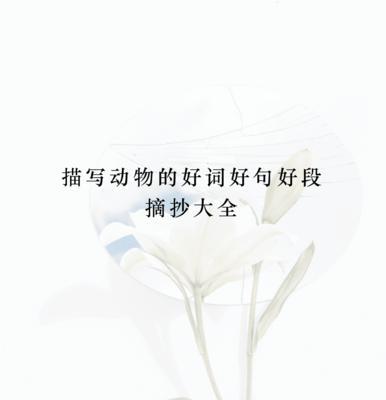 关于伤心的好句简短的（《离愁》——美丽伤感的文字画卷）