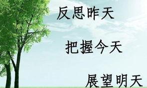 关于人生路的名人名言（“路漫漫其修远兮，吾将上下而求索。”——《离骚》）