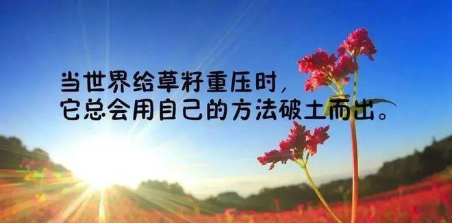 关于人生意义的好段（人生的意义——追求内心的光芒）