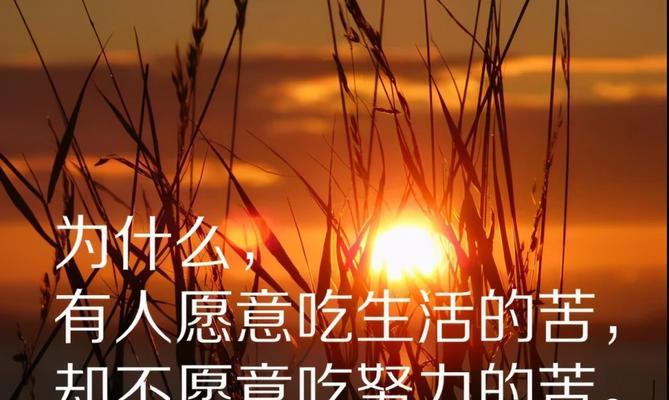 有关关于人生的经典优秀句子的好句摘抄（漫步人生路）