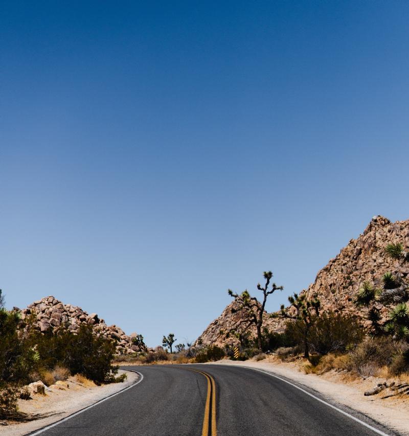 有关关于人生道路的哲理名言的短句有哪些（静思，感悟，放飞）