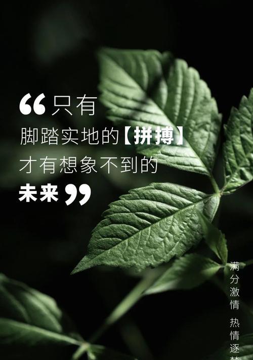 不留遗憾的名人名言（唯美短句读懂人生奥义）