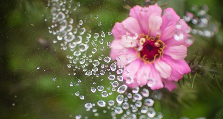 秋雨绵绵的心情说说感悟生活（秋雨绵绵的心情——凝望落雨间）