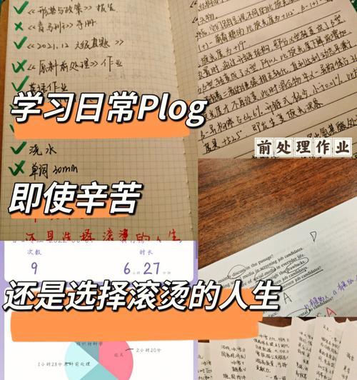 关于刻苦努力的好词好句（勤学苦练，追求卓越）