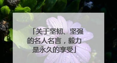 有关关于坚持和坚强的名人名言的短句子（坚持与坚强——名人名言）