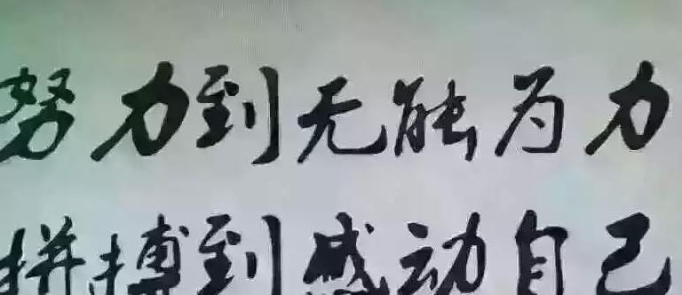 有关奋斗的语句摘抄（拼搏不止，奋斗在路上）