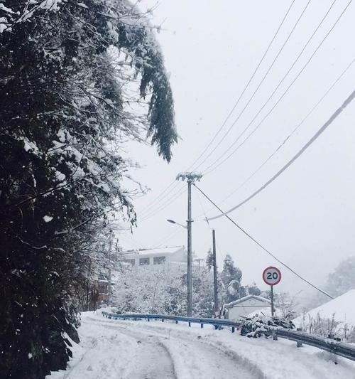 关于第一场雪的说说短句（初雪飘落，岁月静好）