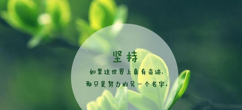 励志名言爱情句子（爱情立志）