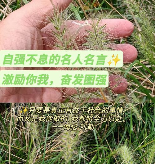 有关鼓励同学奋发前进的名言的短句有哪些（《激励奋发，追逐梦想》）