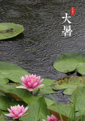 大暑时节的祝福语（大暑节气祝福留言：热情如夏）