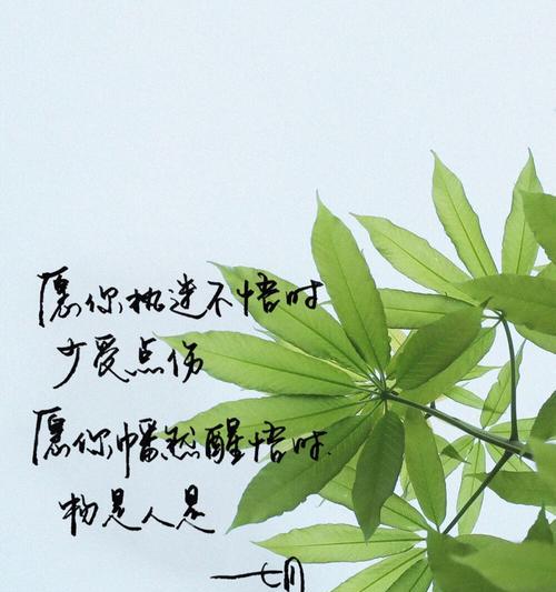 好听的女生名言（《女生名言：唯美霸气》）