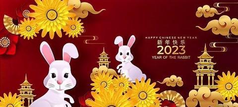 有关2023新年祝福语好句简短的好句大全（25个唯美短句，送给最亲爱的你）