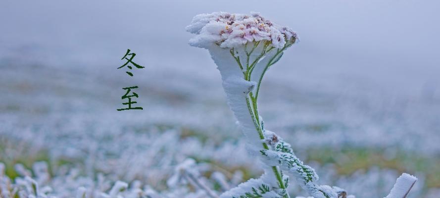 描写冬至的句子 短句（寒气逼人，岁月静好）