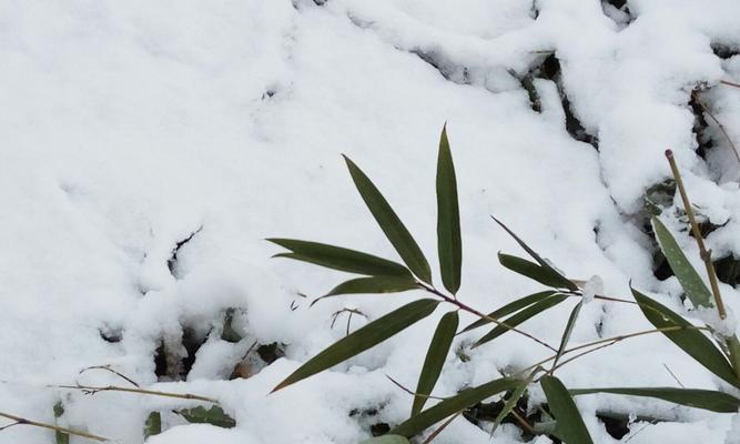 描述第一场雪的说说（《初雪如梦》）