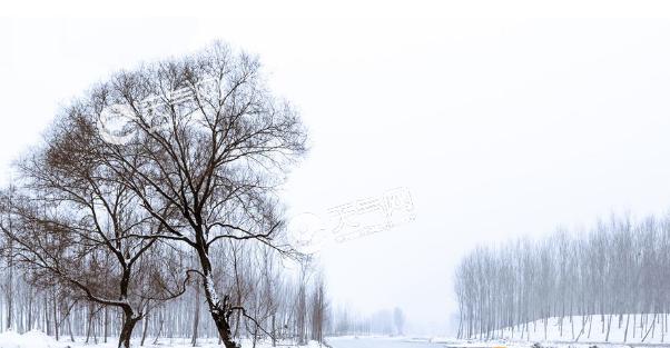 关于大雪节气的祝福话语（大雪节气纯净如雪的美好祝福）