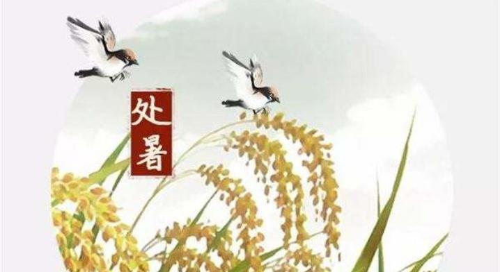 关于处暑的短句（炎炎夏日，燥热难耐，却不失宁静与美丽）