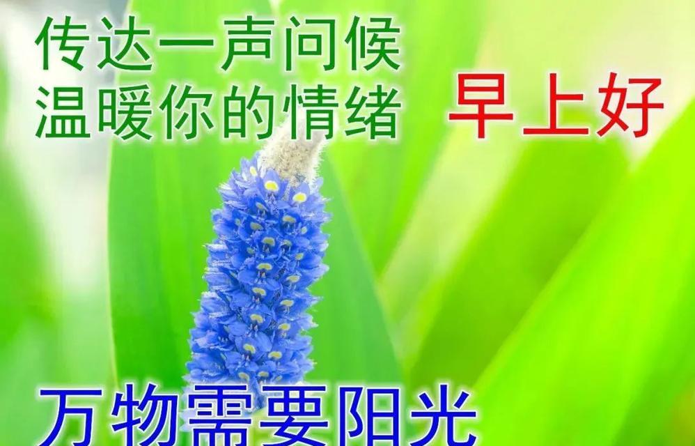 九月祝福最暖心短句（用一条短信，送去心中的祝福）