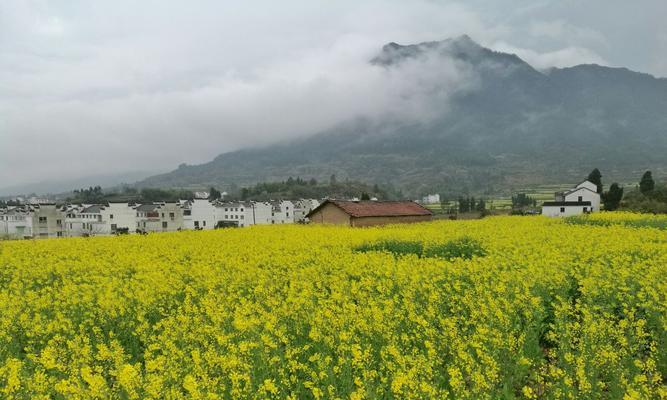 回忆故乡的人和事的作文（《回忆故乡的雨景——童年的温暖记忆》）