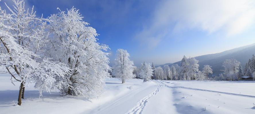 有关怀念故乡的雪的作文800字（《冬日里的熟悉与温馨》）