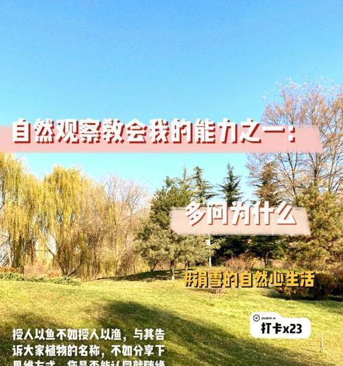 一篇关于观察大自然的作文（《探索自然奥妙——一个小学生的冒险之旅》）