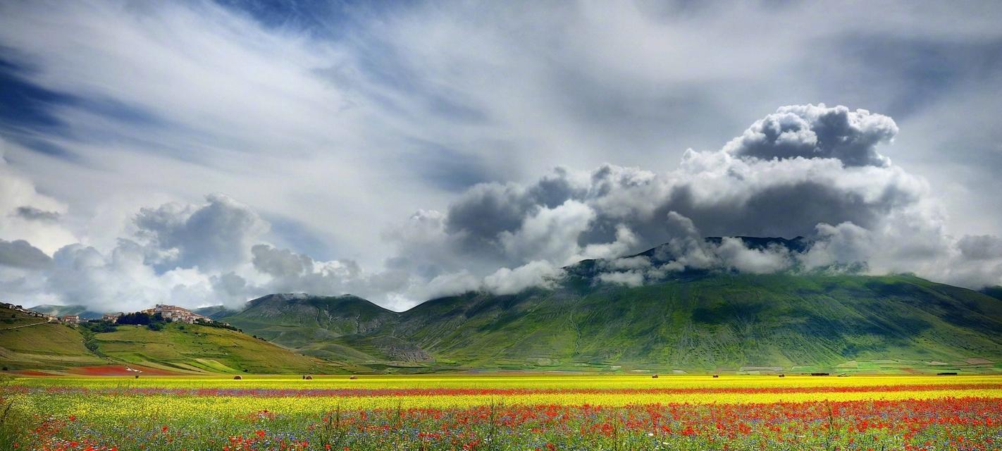 以大自然的风景为题写一篇作文（《梦幻彩林》）