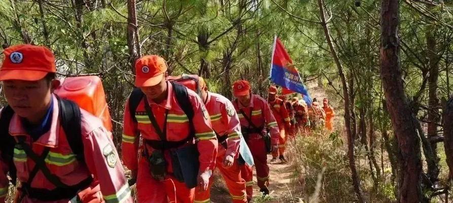 清明节森林防火标语 最新（《清明祭英灵，共建绿色家园》）