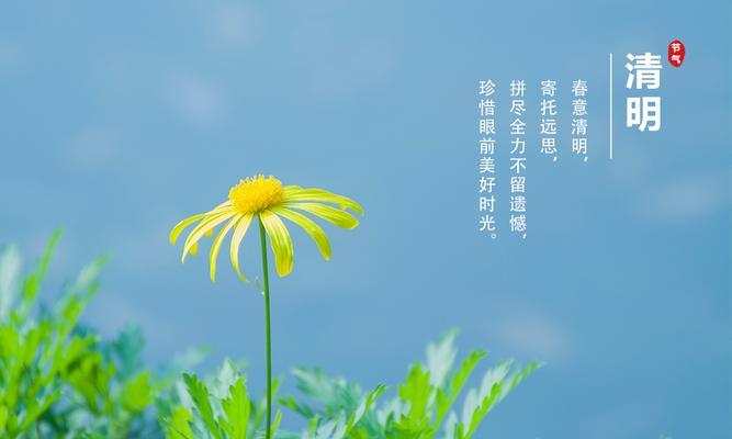 2021年清明节的说说（追寻春光，感悟生命）